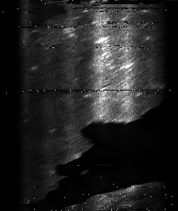 ascat_grayscale_ch2.png